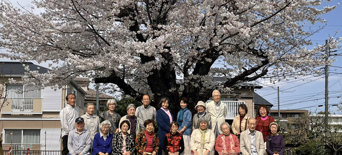 桜の花の下で